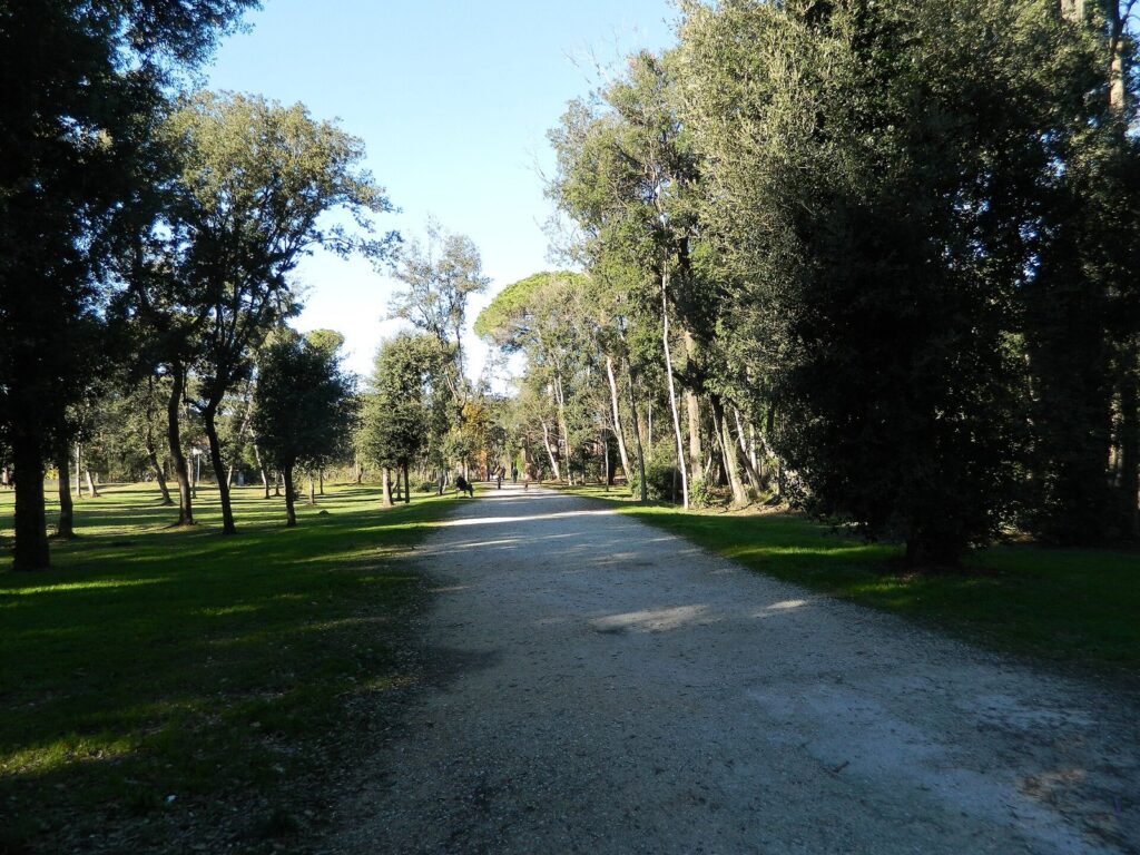 Un viale sterrato tra i pini e i lecci del Parco della Versiliana a Marina di Pietrasanta